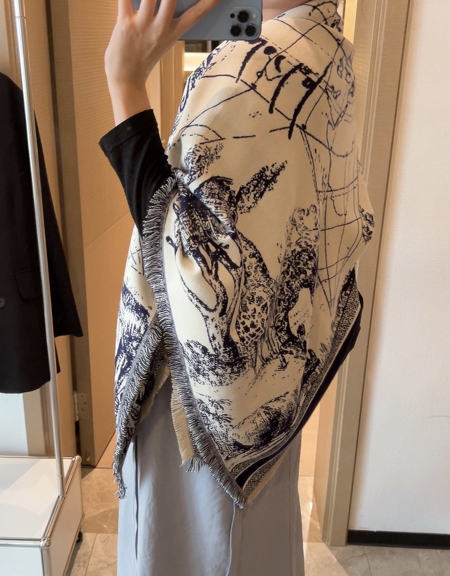 Dior Scenic Print Shawl
